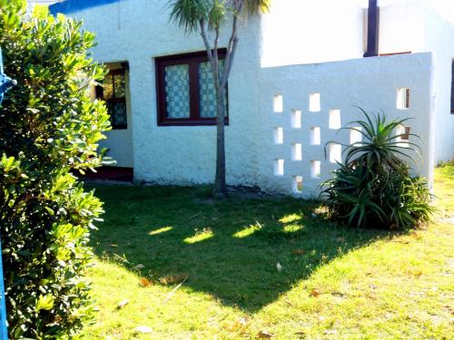 a yard with two plants in front of a house at Cabañas Virazon Aguas Dulces in Aguas Dulces
