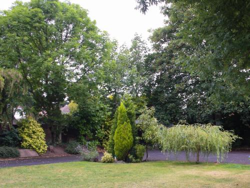 a garden with a bush in the grass at Elmdon Lodge in Birmingham