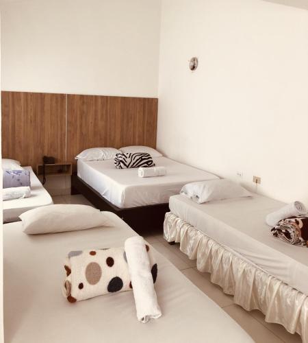 a room with three beds with a dog laying on them at Hotel Center Plaza Plus in Cúcuta