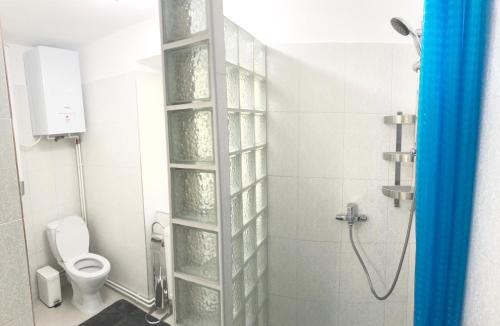 a bathroom with a shower and a toilet in it at Riverside Ski Apartment in Ramingstein