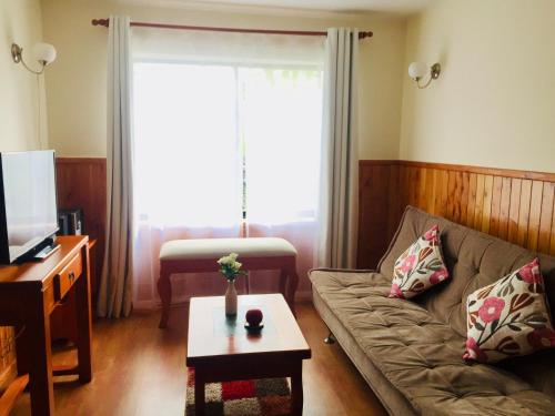 Μια τηλεόραση ή/και κέντρο ψυχαγωγίας στο Departamento Pucón