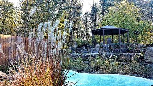 L'Oasis de l'Île – Photos 3
