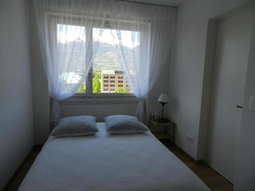 a bedroom with a bed with two pillows and a window at Vaduz Zentrum Meierhof in Vaduz