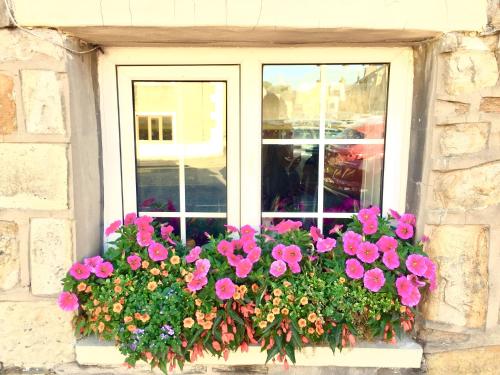 a window with pink flowers in a window box at Oh So Snug in Whalley