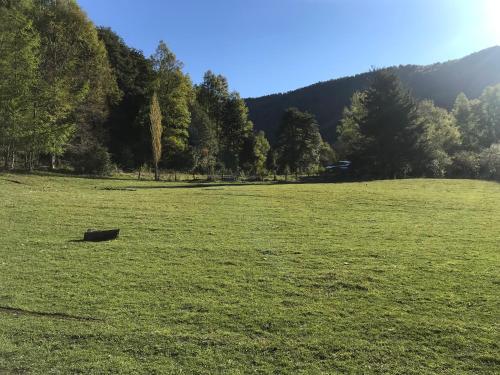 a field of green grass with trees in the background at Karkú Lodge in Pucón