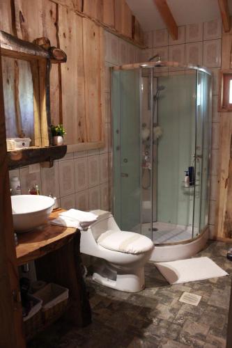 a bathroom with a shower and a toilet and a sink at Karkú Lodge in Pucón