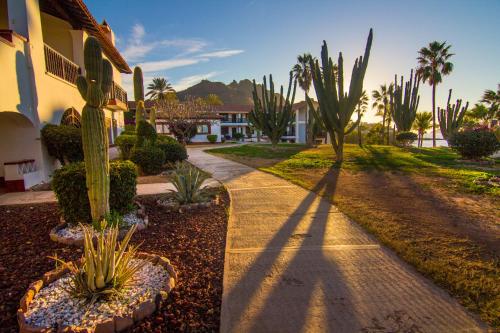 a sidewalk in front of a house with cactus at Hotel Playa de Cortes in Guaymas