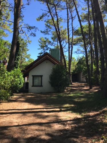 una casa a la sombra de los árboles en Casa verde en Mar de las Pampas