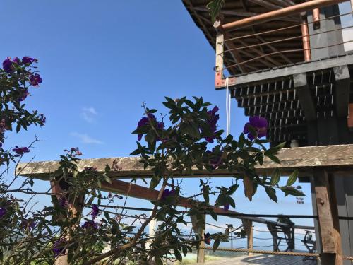 a fence with purple flowers in front of a building at Santa Elena de la Colina in Filandia