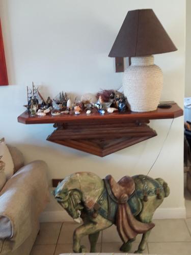 a shelf on the wall with a dog on the floor at B&B Santo Domingo Chile ENGLISH SPOKEN Gran Departamento compartido frente al mar PARQUE TRICAO bird sanctuary 14kms 9miles away DESAYUNO ESTACIONAMIENTO Y WIFI GRATIS Free parking wifi and breakfast in Santo Domingo