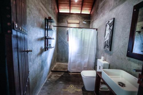 Imagen de la galería de Roseland Cottages, en Bandarawela