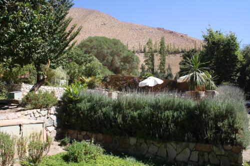 a garden with a stone wall with a mountain in the background at Hotel El Milagro in Pisco Elqui