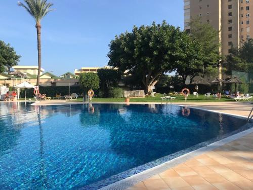 een groot blauw zwembad met een palmboom en gebouwen bij Playamar10 Stays in Torremolinos