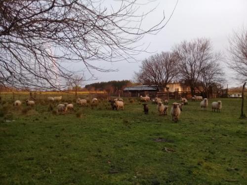 La María – Photos 3