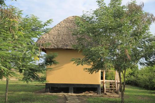 a hut with a thatched roof and a tree at Engiri Game Lodge and Campsite in Katunguru