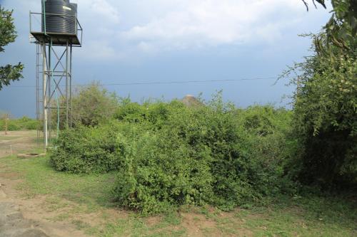 a water tower in the middle of some bushes at Engiri Game Lodge and Campsite in Katunguru
