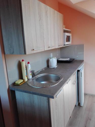 a kitchen counter with a sink and a microwave at Ubytování Carmen in Česká Skalice