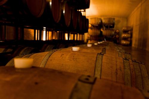 a row of wine barrels in a wine cellar at Hotel & Winery Señorío de Nevada in Villamena 