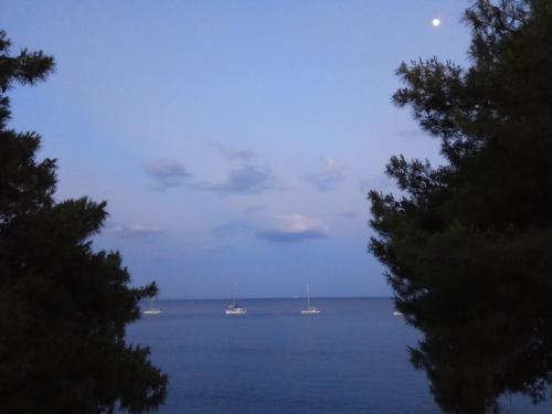 a view of a large body of water with boats at Anatoli Hotel in Agia Marina Aegina