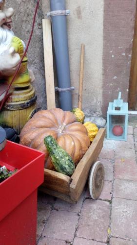 a wooden wagon with pumpkins and gourds on a sidewalk at L'ateliere in Ottrott