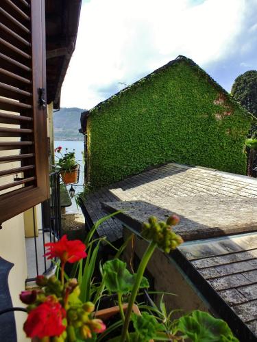 a balcony with red flowers and a green wall at Hotel Leon D'Oro in Orta San Giulio