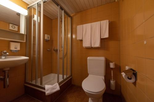 a bathroom with a toilet and a shower and a sink at Gasthof Pizzeria Weingarten in Affoltern