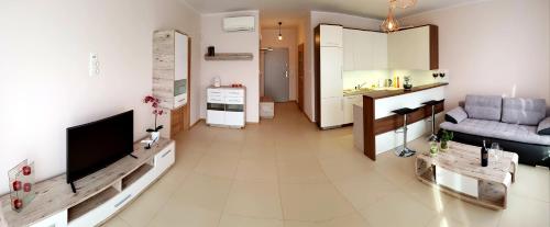 Μια τηλεόραση ή/και κέντρο ψυχαγωγίας στο Apartamenty Elbląg