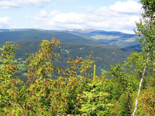 a view of a valley with trees and mountains at Penzion Pohlednička in Benecko