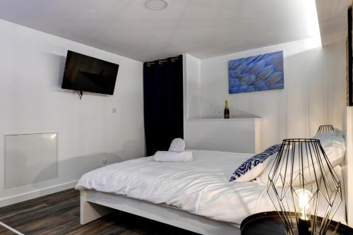 Schlafzimmer mit einem Bett und einem TV an der Wand in der Unterkunft My Toul'House SPA in Toulouse