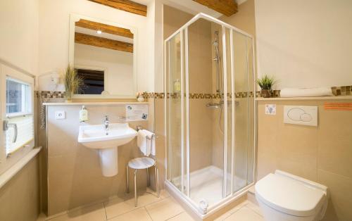 a bathroom with a shower and a toilet and a sink at Château de Pourtalès in Strasbourg