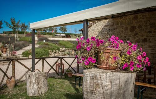 Zahrada ubytování Agriturismo San Silvestro
