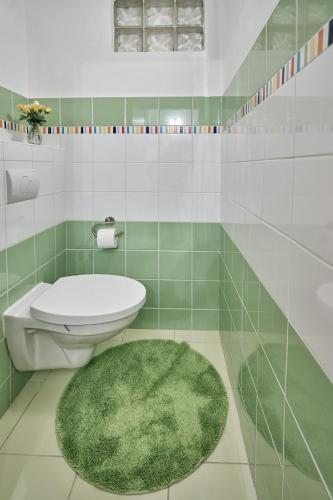 a green and white bathroom with a toilet and a green rug at Apartment U Medvídka in Karlovy Vary