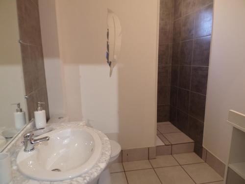 a bathroom with a sink and a shower at L' éscale de la Besbre in Vaumas