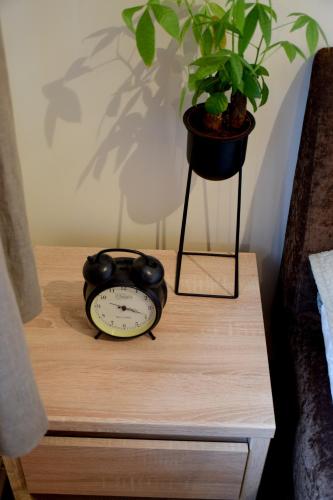 a clock sitting on a table with a potted plant at Guest house in Dobele city center- Pilsētas Māja in Dobele