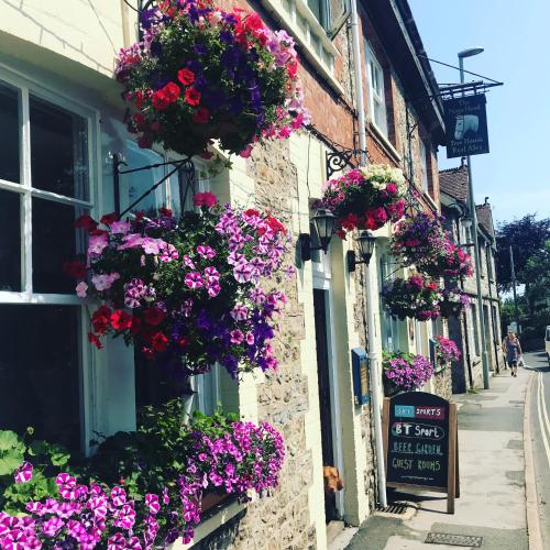 a street with flowers on the side of a building at The Nags Head - Room only accommodation in Lyme Regis