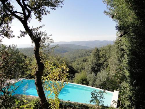 una piscina en medio de un bosque en Exclusive Tuscany Villa, en Civitella in Val di Chiana