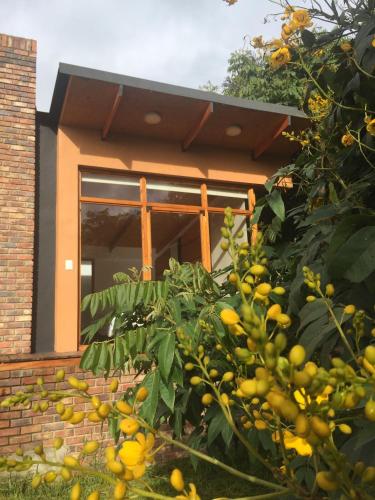 a building with a bunch of oranges on a tree at Titué Refugio , Cabañas in La Calera