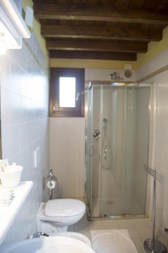a bathroom with a shower and a toilet and a sink at Agriturismo Lupo Bianco in Monzambano