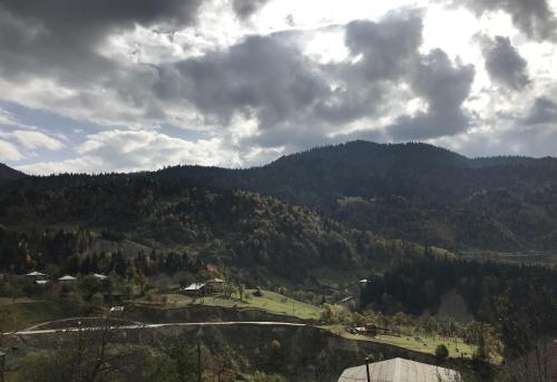 ホリデーパークの近くで見られる自然の景観