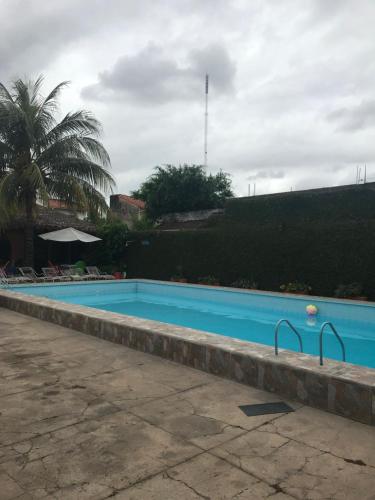 une grande piscine bleue avec des chaises et un palmier dans l'établissement Hostal Don Nabil, à Santa Cruz de la Sierra