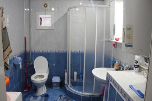 a bathroom with a shower and a toilet and a sink at У МИХАЙЛА під лісом in Verkhovyna