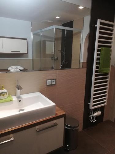 a bathroom with a sink and a glass shower at Apartment Eva in Sonnberg