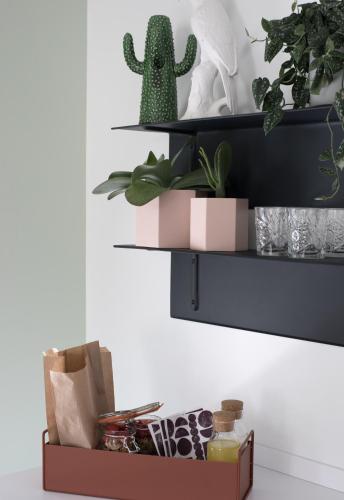 a shelf with plants and a cactus on it at B&B StudioLKE in Heeze