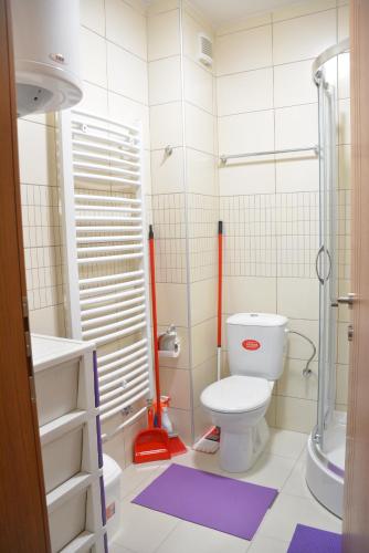 a small bathroom with a toilet and a shower at Apartman Radmanovac in Vrnjačka Banja