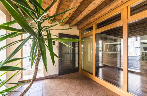 a house with a palm tree in front of a door at LA LOGGETTA - locazione turistica in Bassano del Grappa