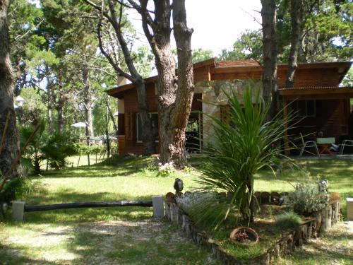 a house with a tree in front of it at Sueños del Este in Costa del Este