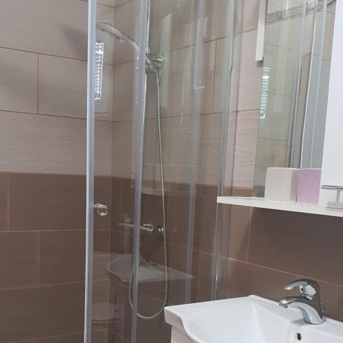 a shower with a glass door next to a sink at Pool Apartment Knezevic in Novalja