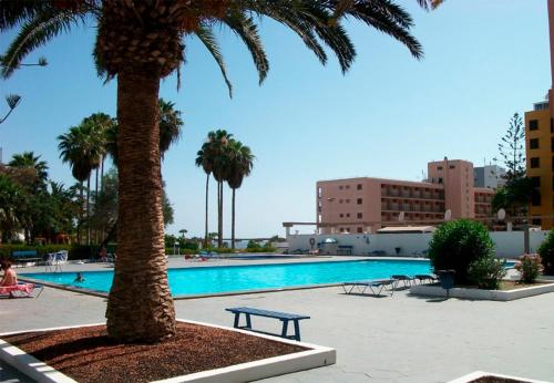una palmera y un banco junto a una piscina en Apartamento en Viña del Mar en Playa Fañabe
