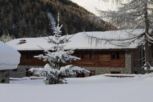 a snow covered tree in front of a cabin at La Tana dell'orso Hotel & SPA in Ponte di Legno