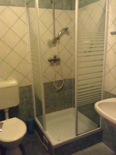 a shower in a bathroom with a toilet and a sink at Főnix Fogadó in Lenti